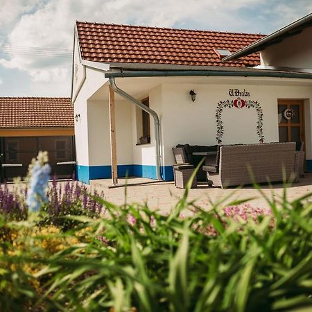 Apartman U Draba: Ubytovani Na Slovacku V Miloticich U Kyjova Milotice エクステリア 写真